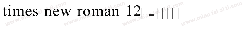 times new roman 12号字体转换